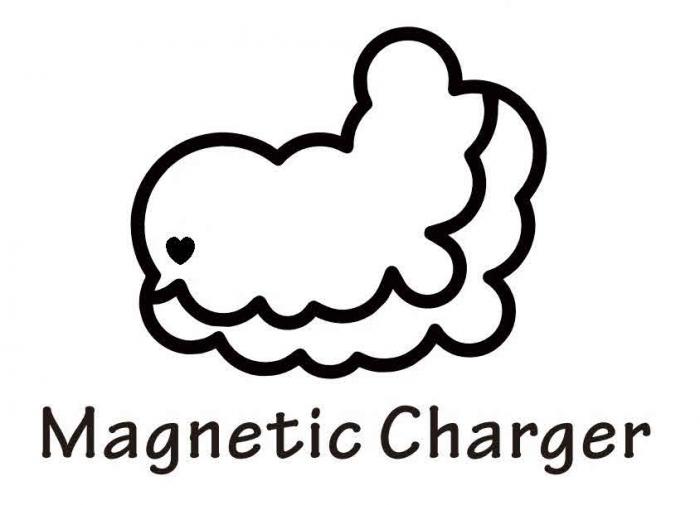 MAGNETIC CHARGER