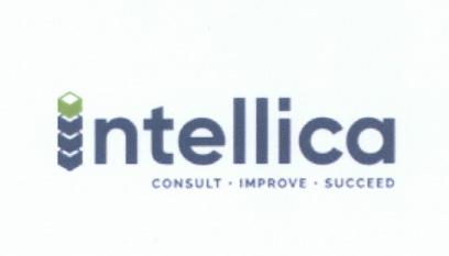 Intellica CONSULT IMPROVE SUCCEED