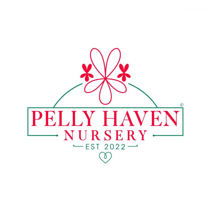 PELLY HAVEN NURSERY " EST 2022 -