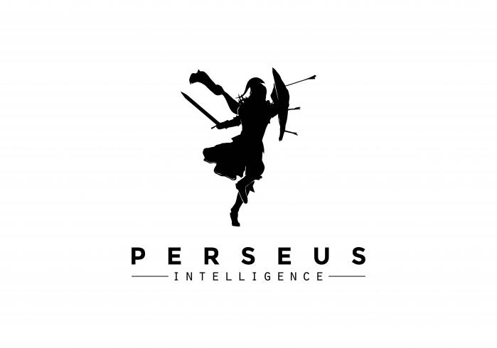 Perseus Intelligence