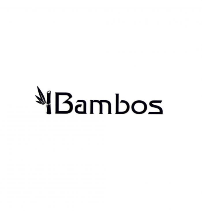 ¡BAMBOS