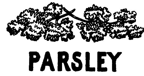 PARSLEY