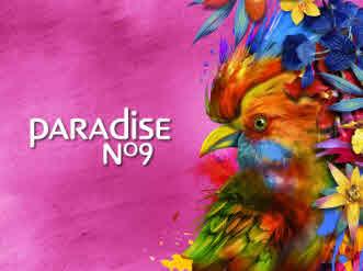 PARADİSE NO9