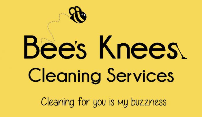 BEE'S KNEES CLEANING SERVICES CLEANING FOR YOU IS MY BUZZNESS