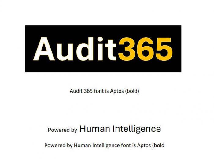 AUDIT365 AUDIT 365 FONT IS APTOS (BOLD) POWERED BY HUMAN INTELLIGENCE POWERED BY HUMAN INTELLIGENCE FONT IS APTOS (BOLD