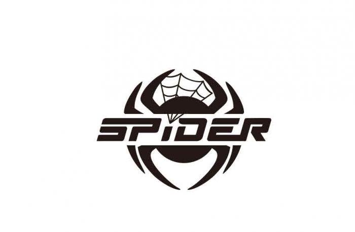 SPIDER