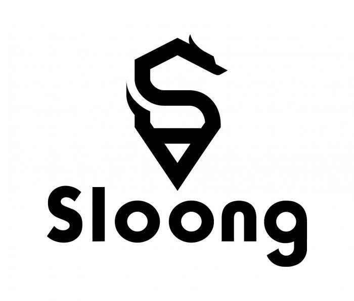 Sloong