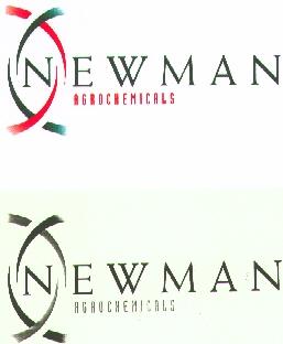 NEWMAN