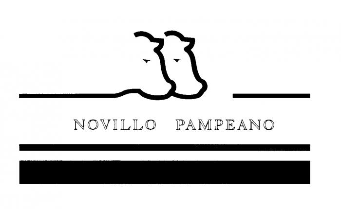 NOVILLO PAMPEANO