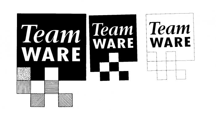 TeamWARE