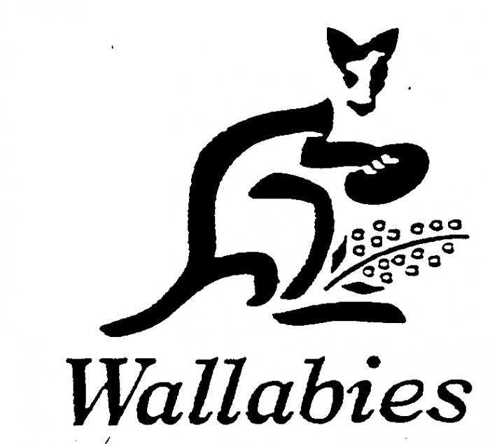 Wallabies