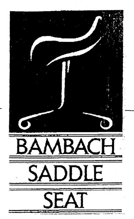 BAMBACH SADDLE SEAT