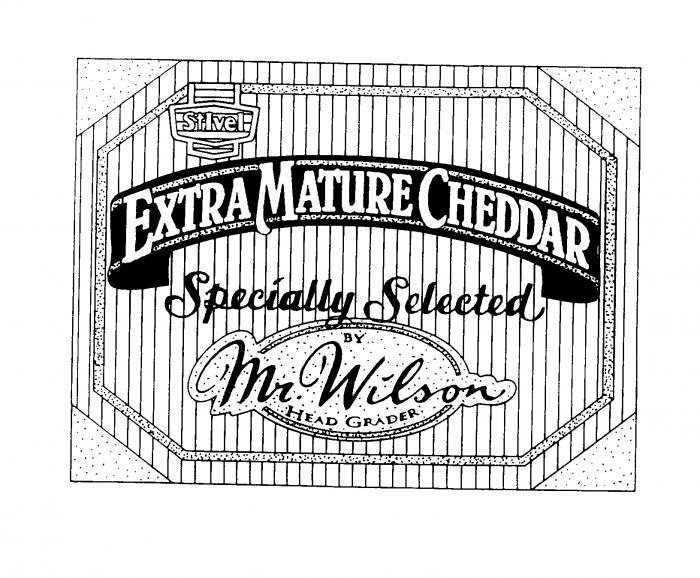 St. Ivel EXTRA MATURE CHEDDAR Specially Selected BY Mr Wilson HEAD GRADER