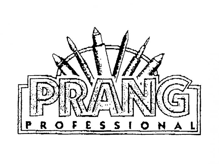 PRANG PROFESSIONAL