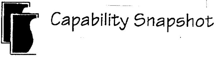 Capability Snapshot