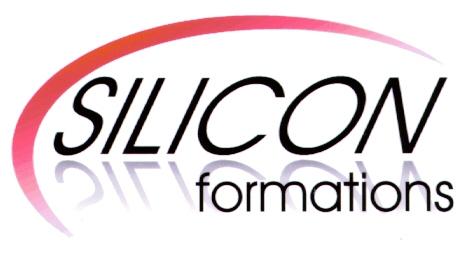 SILICON formations