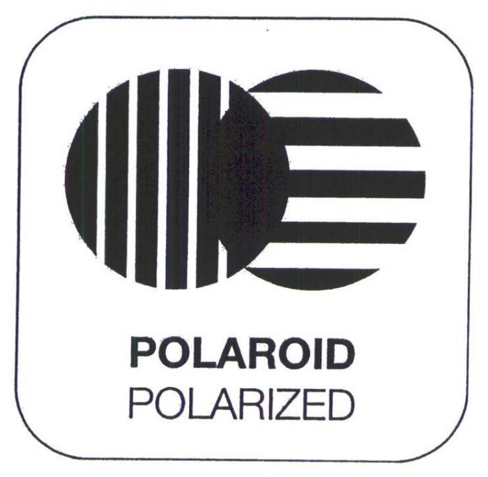 POLAROID POLARIZED