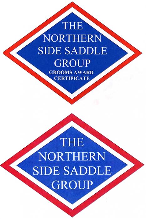 THE NORTHERN SIDE SADDLE GROUP