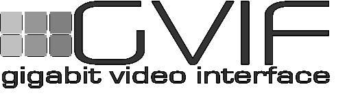 GVIF gigabit video interface