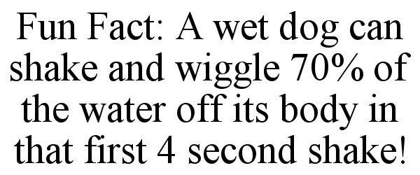 FUN FACT: A WET DOG CAN SHAKE AND WIGGLE 70% OF THE WATER OFF ITS BODY IN THAT FIRST 4 SECOND SHAKE!