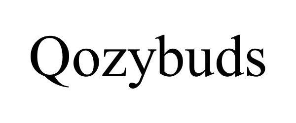 QOZYBUDS