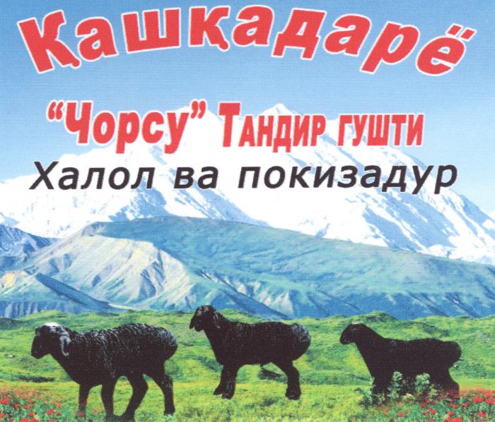 Кашкадарё "Чорсу" Тандир гушти халол ва покизадур