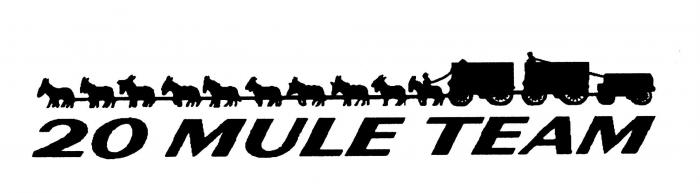 20 MULE TEAM