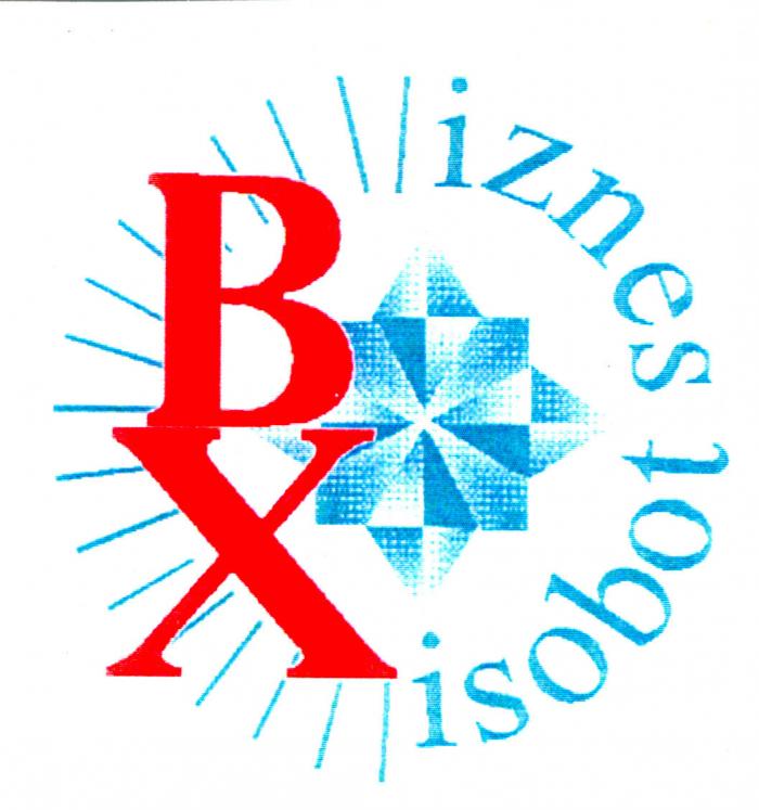 BIZNES XISOBOT