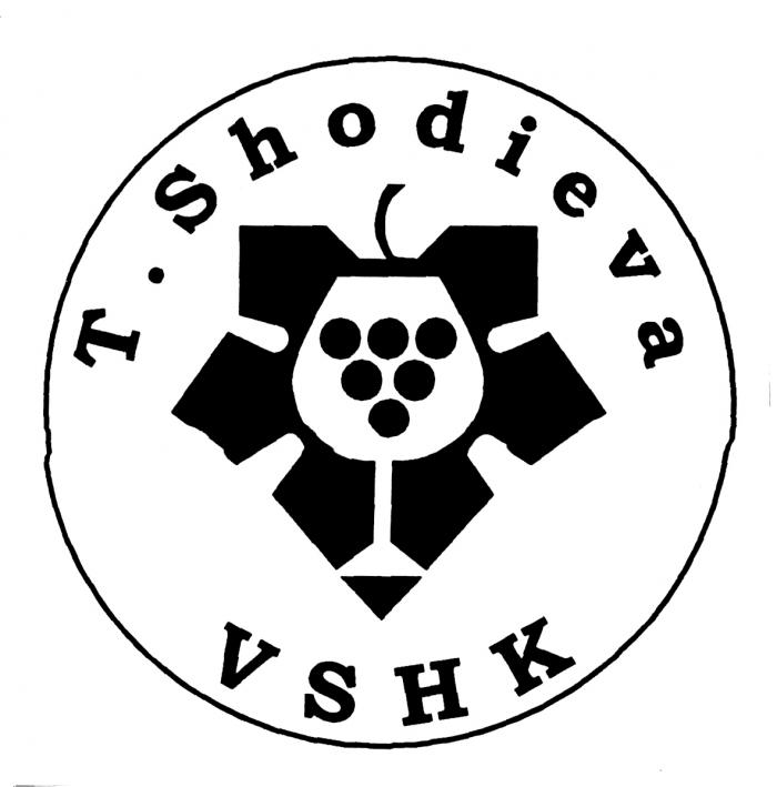 T.Shodieva VSHK